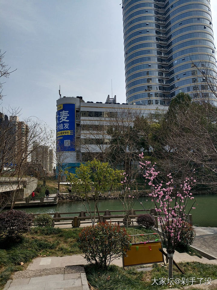 运河边随拍_花