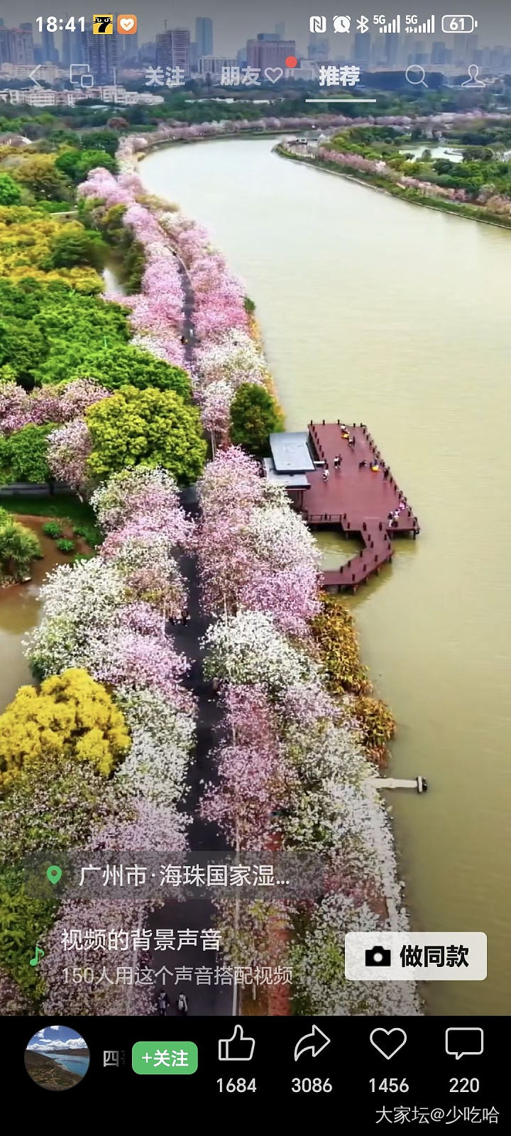 花城_花
