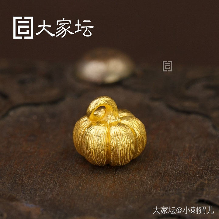 有团校长家的小南瓜的吗，一起呀。_金