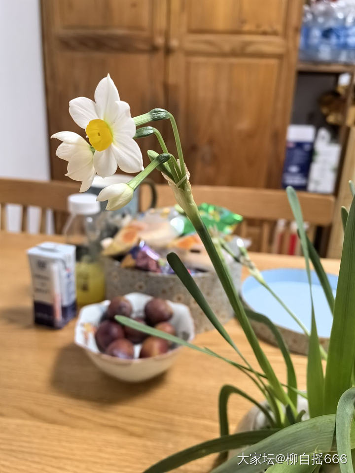 凌波仙子🌹_花