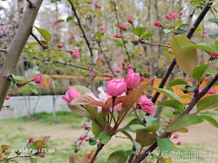 好久没发帖了，来打个卡吧。_首饰