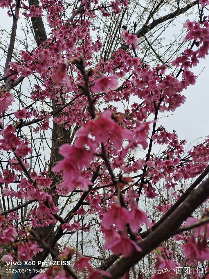 好久没发帖了，来打个卡吧。_首饰