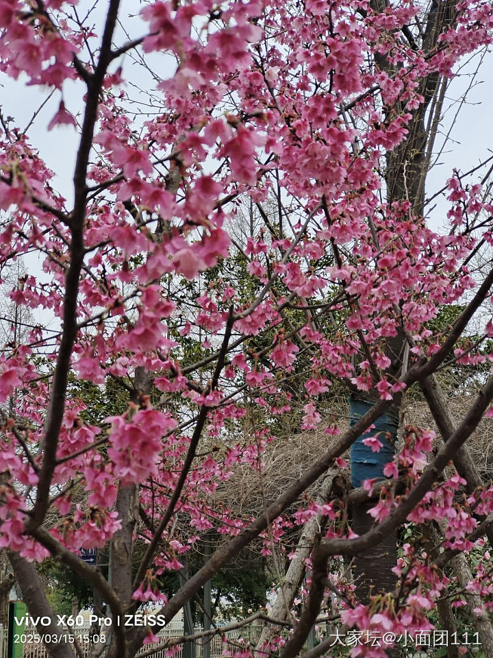 好久没发帖了，来打个卡吧。_首饰