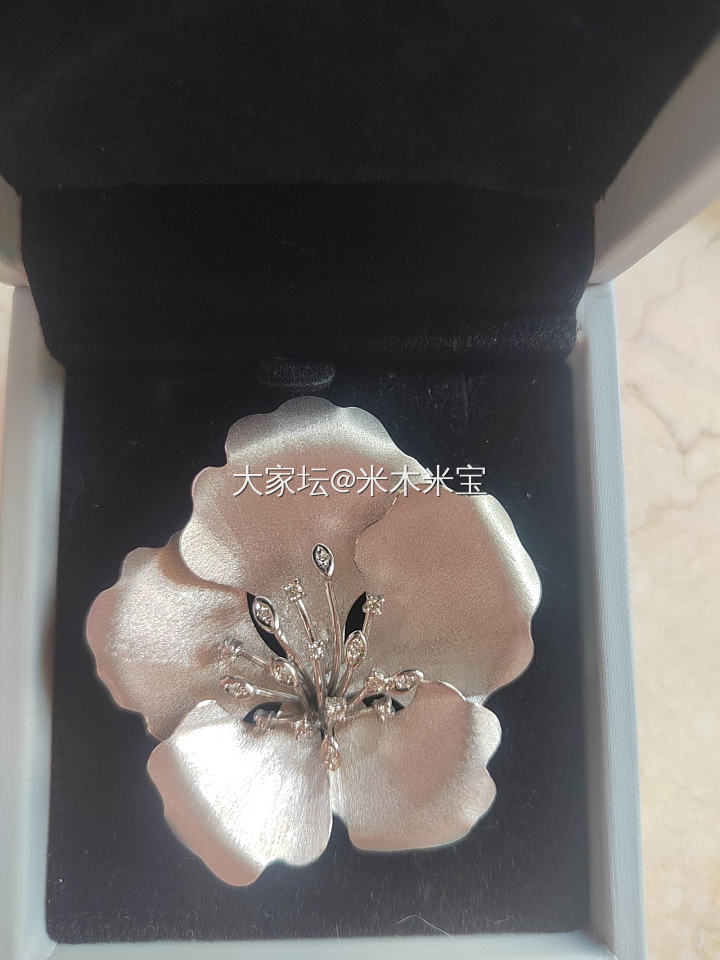 春天到了，一些胸针要收起来了_首饰