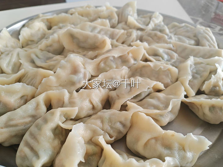 昨天的海虹饺子_美食
