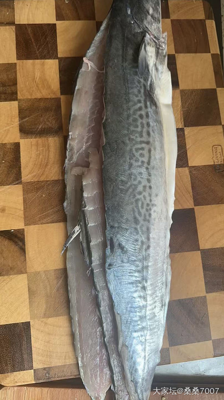昨天的海虹饺子_美食
