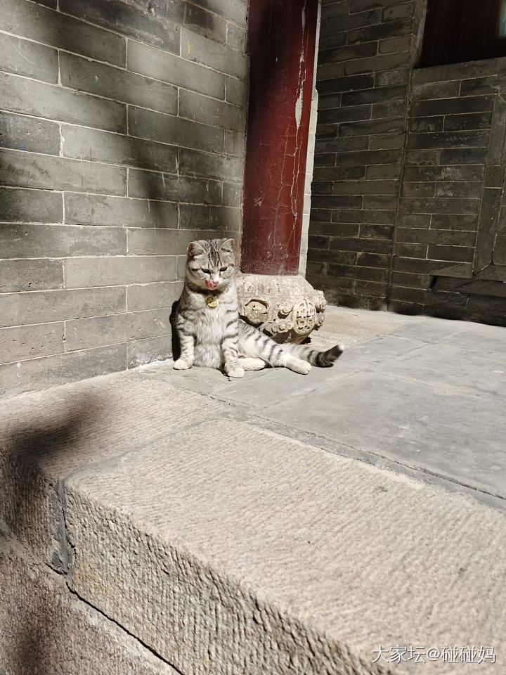 生日在五台山普化寺过斋_旅游闲聊