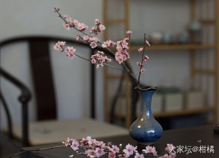 别老看金子了_花