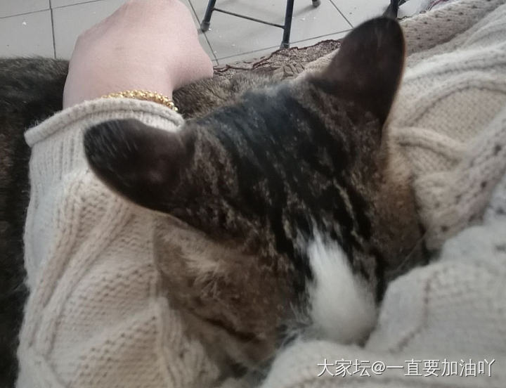 曾几何时_金