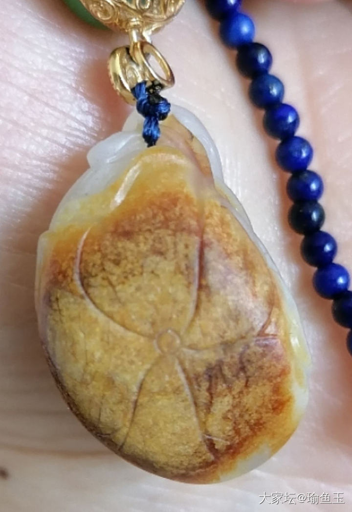 既然睡着了，那就给饲养员当背景啊，小猫咪们，哈哈哈哈哈哈（反派式桀桀怪笑）_和田玉