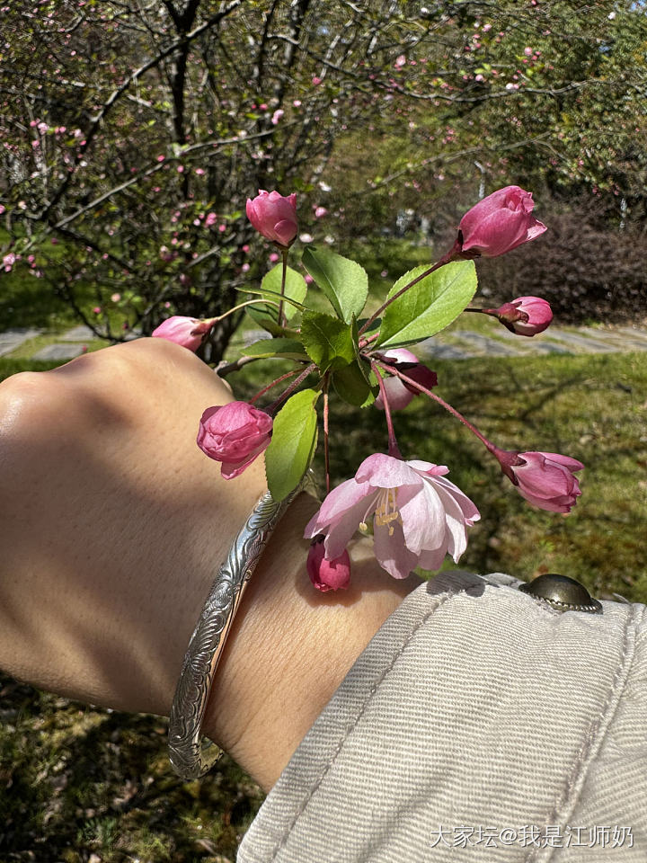 郁金香🌷_手镯银