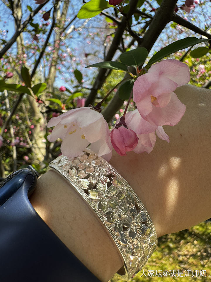 郁金香🌷_手镯银
