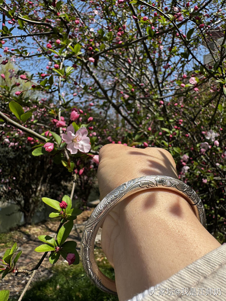 郁金香🌷_手镯银