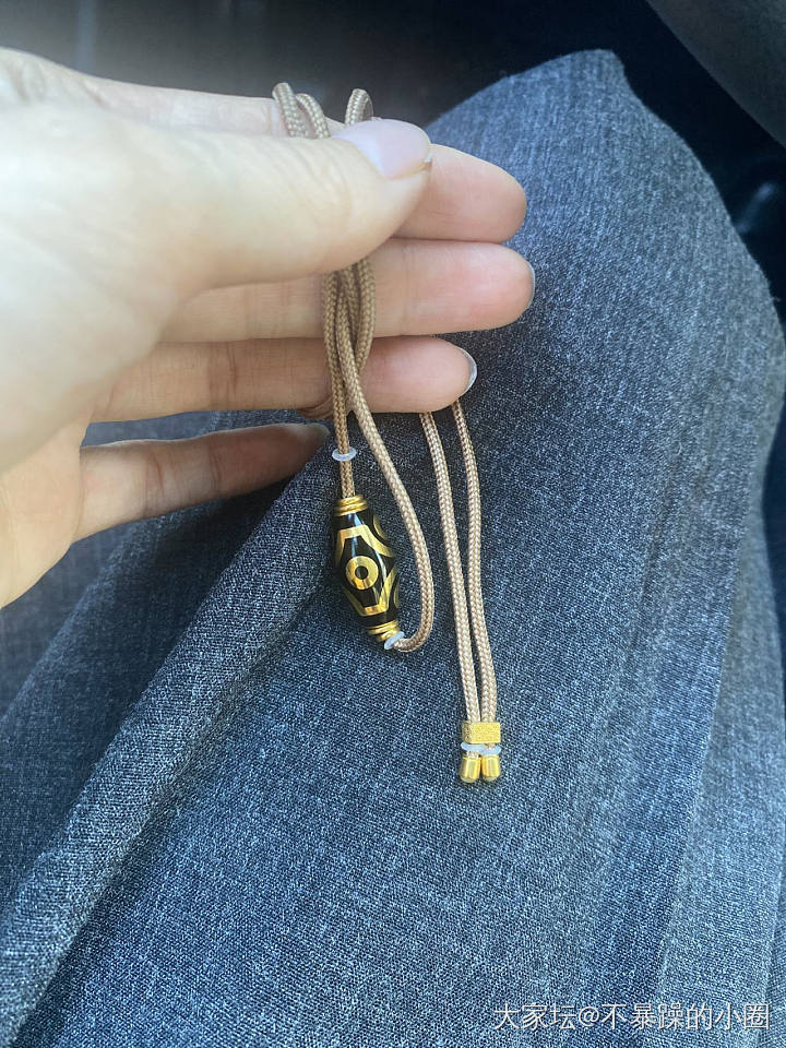 新欢到手，狗子抢走_金
