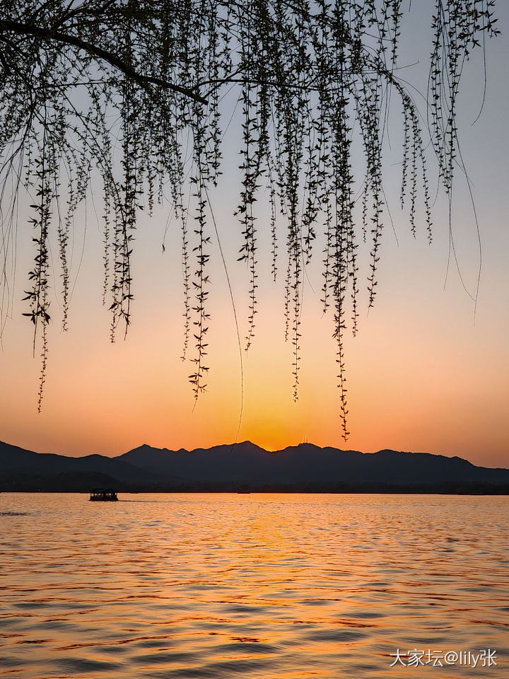 西湖美景三月天，来看花呀🥰_旅游