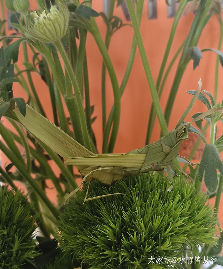 生活加点糖🍬_手工diy闲聊