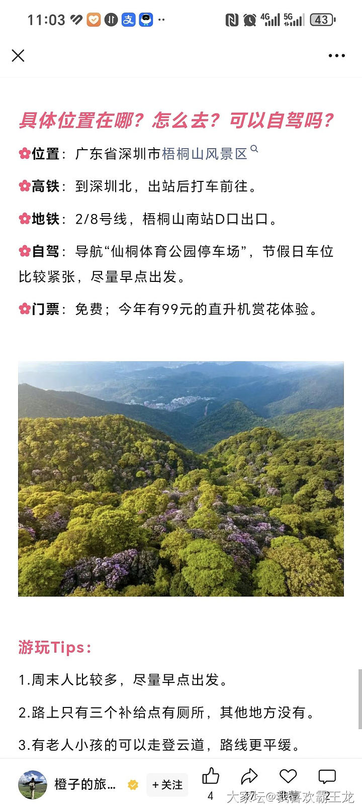 有没有深圳的坛友说一下，这是不是真的那么美_旅游闲聊
