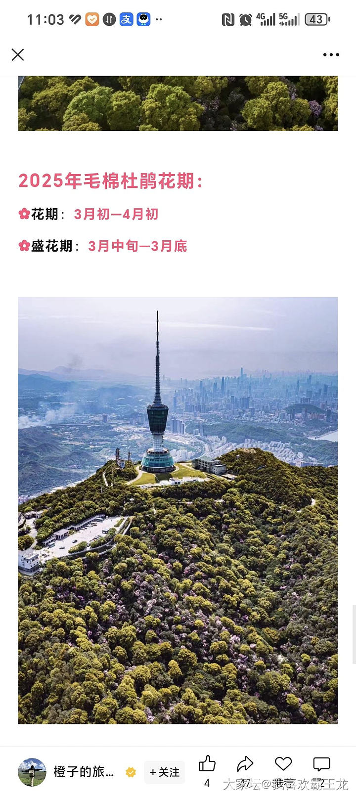 有没有深圳的坛友说一下，这是不是真的那么美_旅游闲聊
