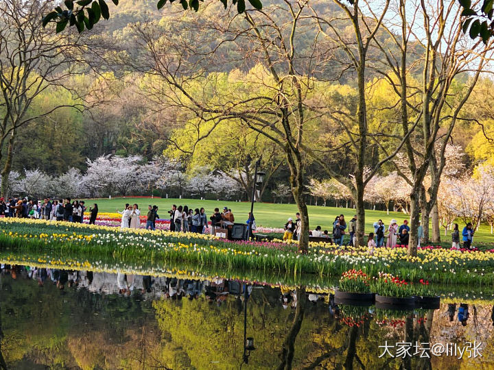 西湖太子湾实况！_旅游