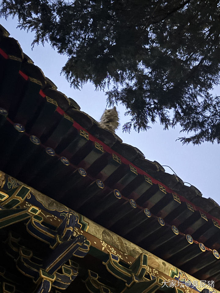 赏花听乐_旅游