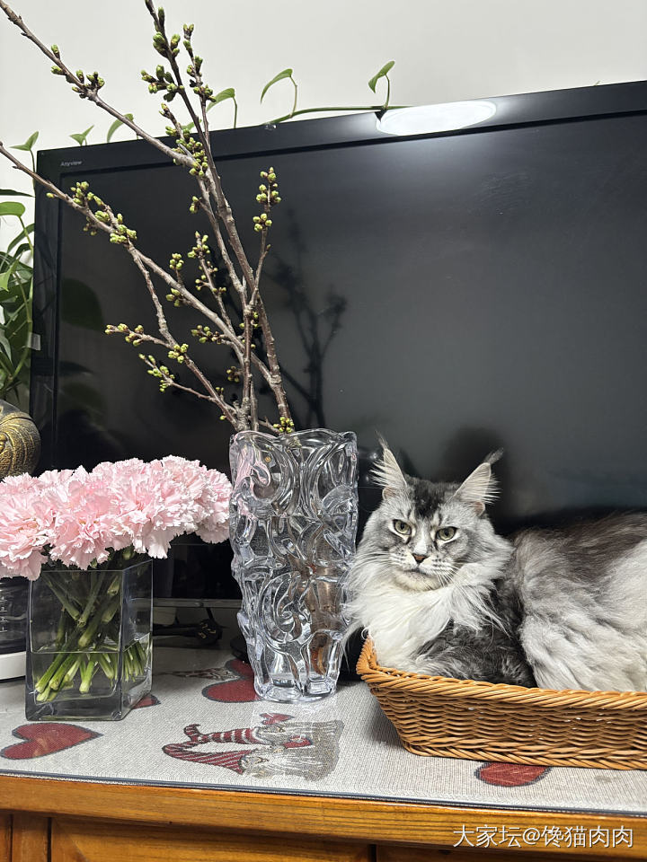 抢劫了同事的插花_花