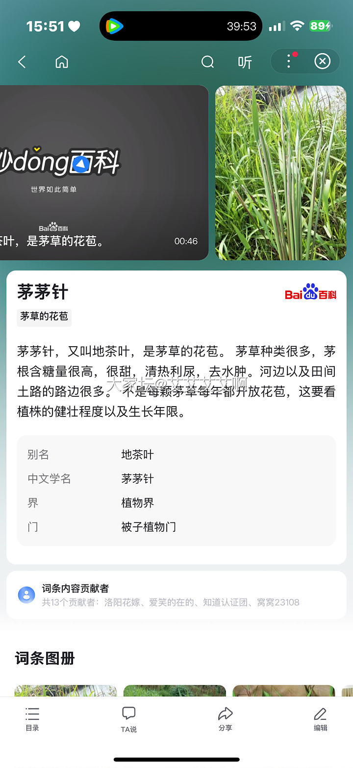 童年的美好回忆—谷荻_植物