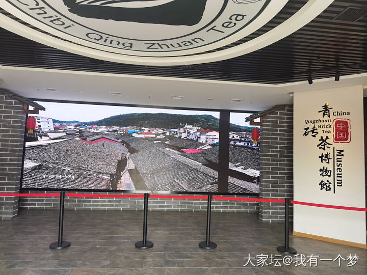 今天请假，一个人去和春天约会了_旅游