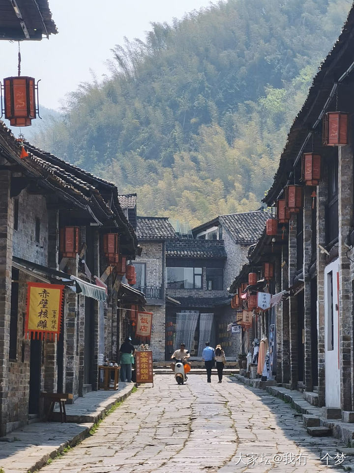 今天请假，一个人去和春天约会了_旅游