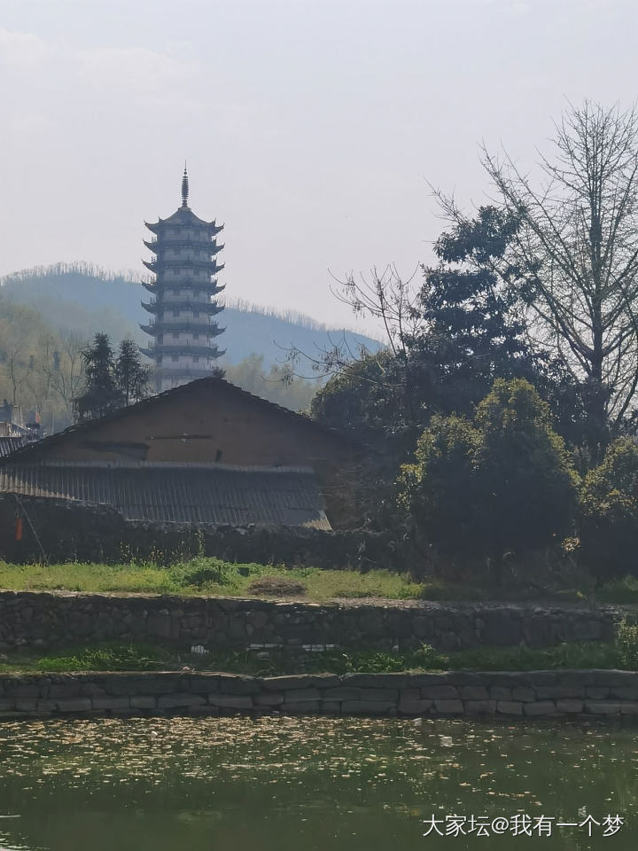 今天请假，一个人去和春天约会了_旅游