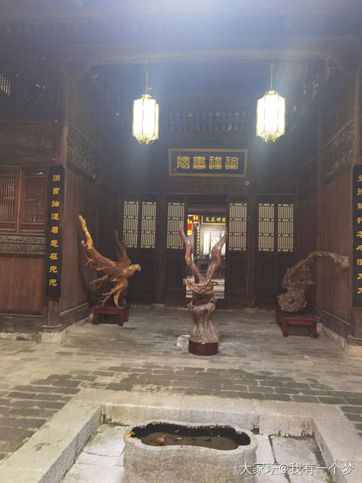 今天请假，一个人去和春天约会了_旅游