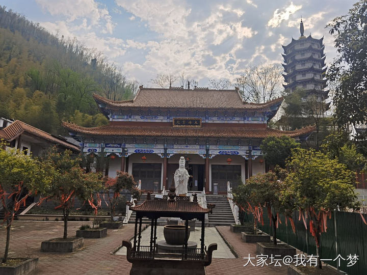 今天请假，一个人去和春天约会了_旅游