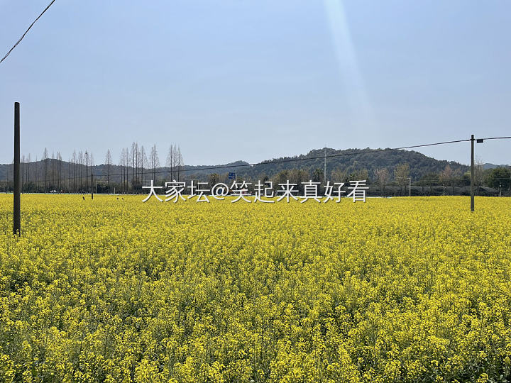 春天 逛公园才是正经事～_植物