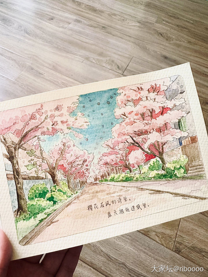 樱花雨超级解压涂色游戏_手绘