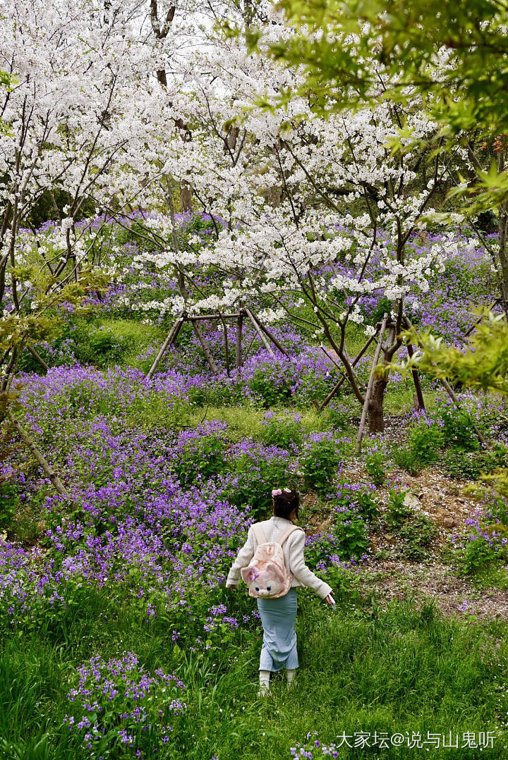 又来发花花了，别嫌我烦哈_花