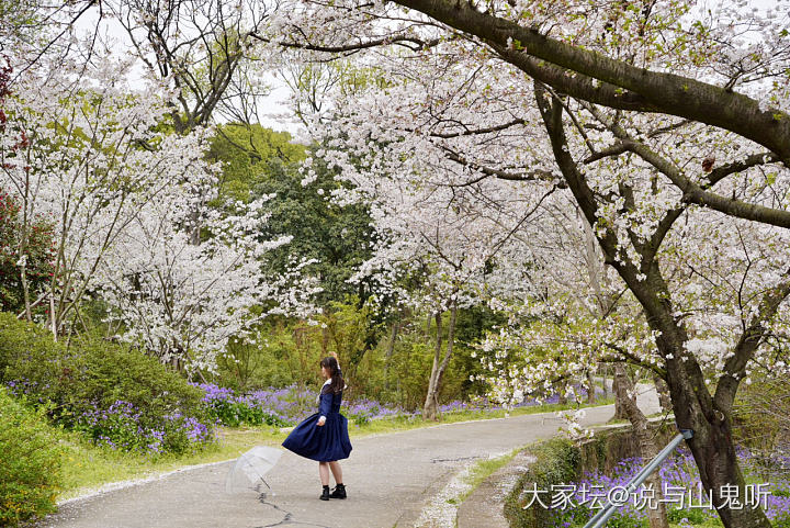 又来发花花了，别嫌我烦哈_花