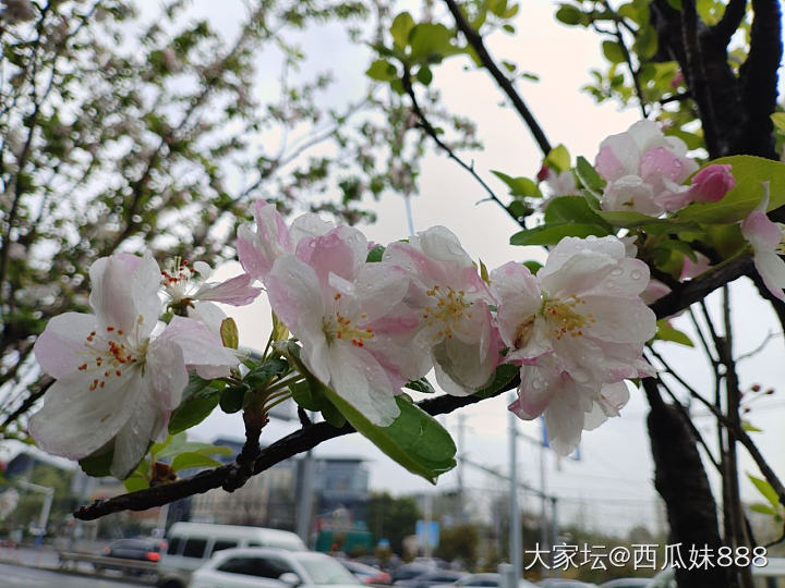 魔都大降温_闲聊