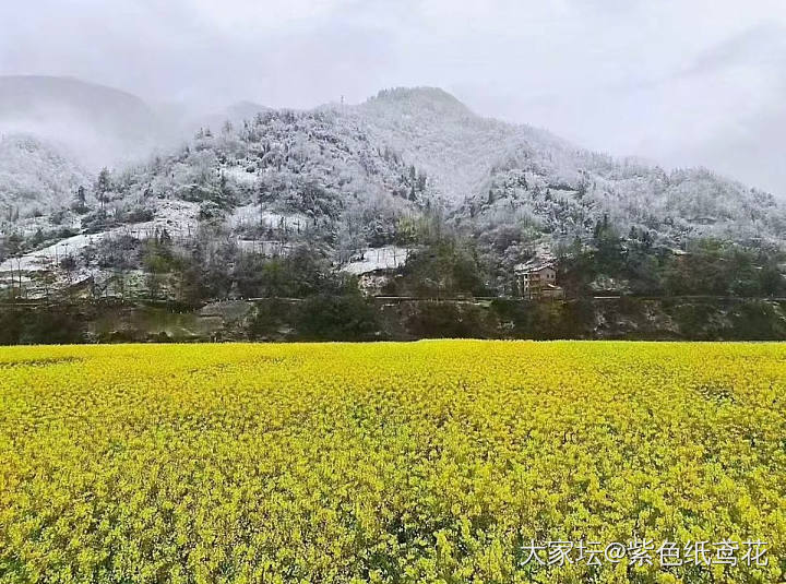 好梦幻的天气_娱乐八卦