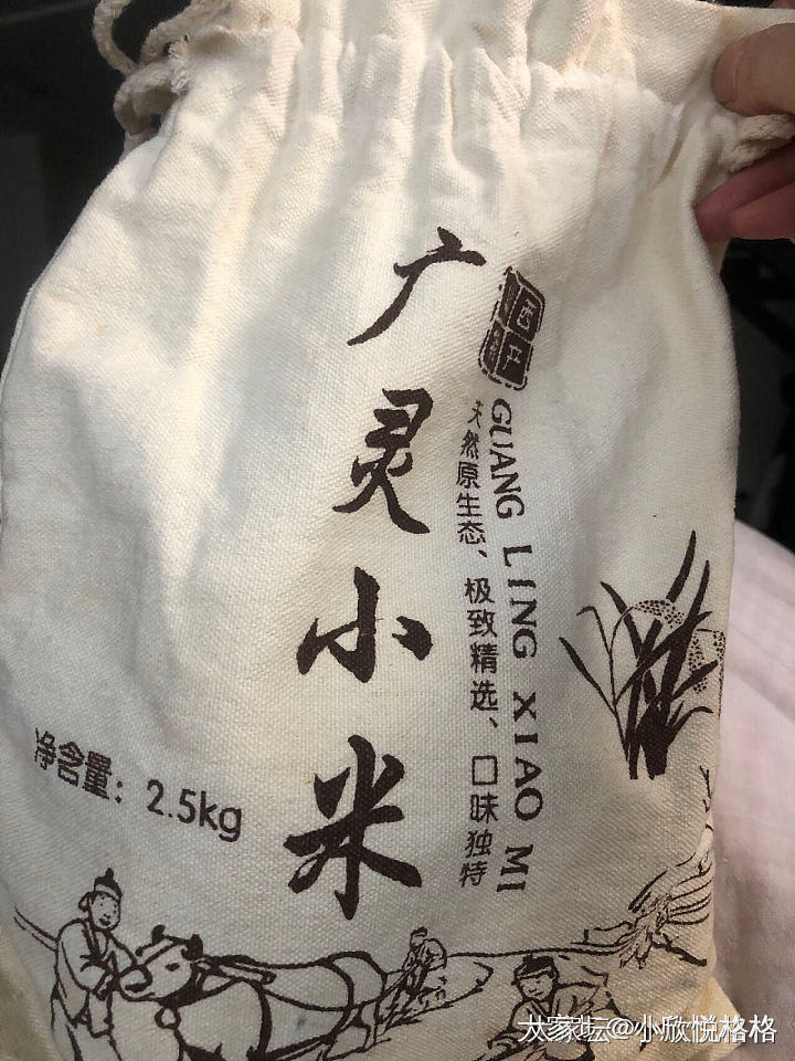 这怕是坛子最简陋的了_金
