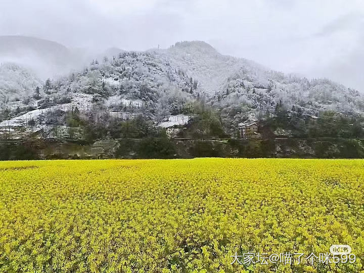 重庆下雪啦，温度满30立减25_闲聊