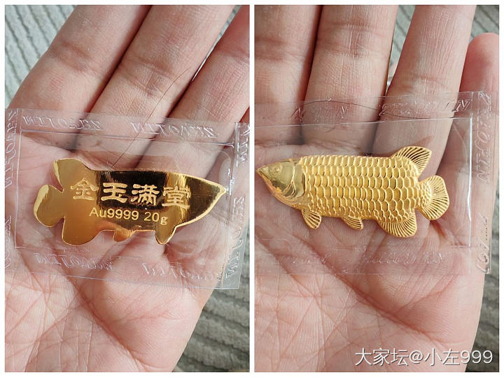 蜜金的转运珠和金龙鱼_金