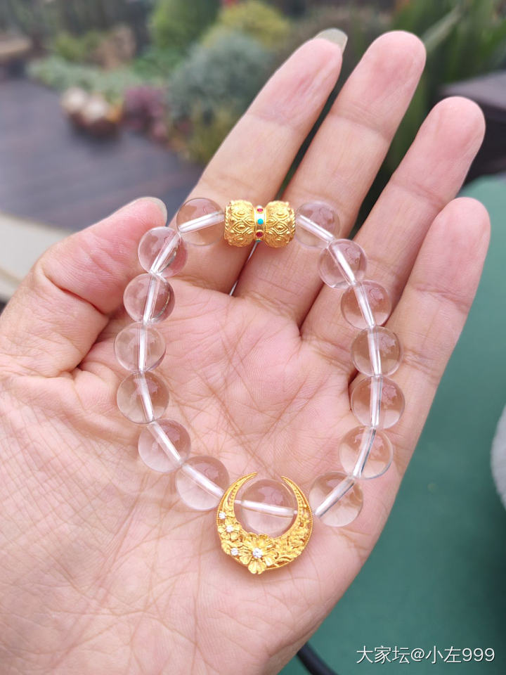 蜜金的转运珠和金龙鱼_金