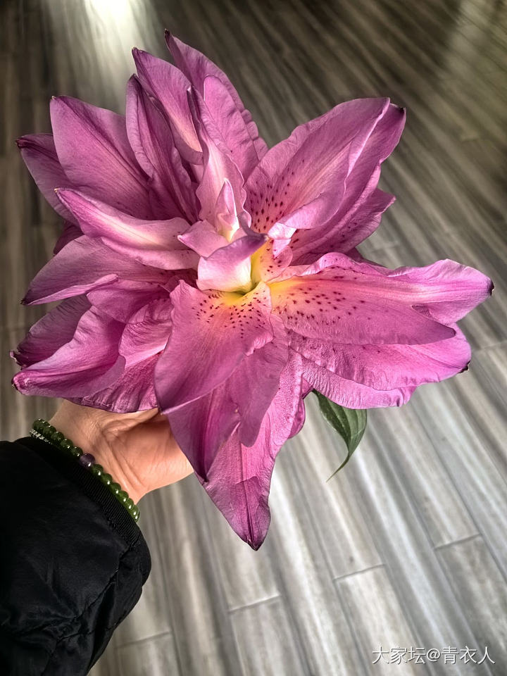 主题_花