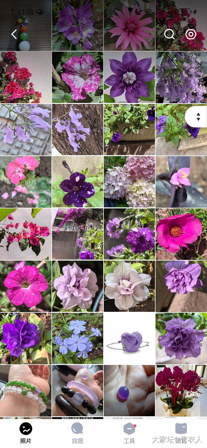 主题_花