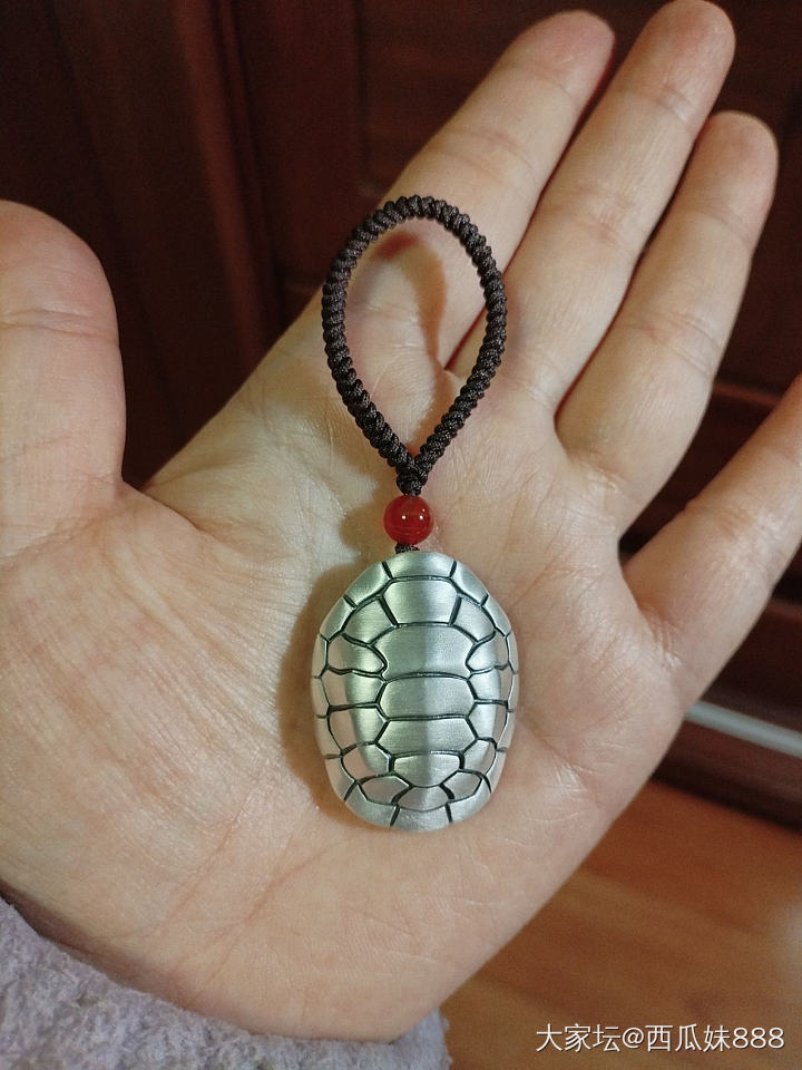 金的整不起，弄个银的玩玩吧_银