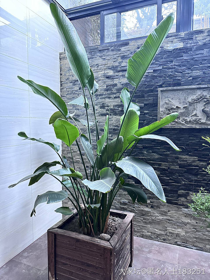 环境不同_生活植物