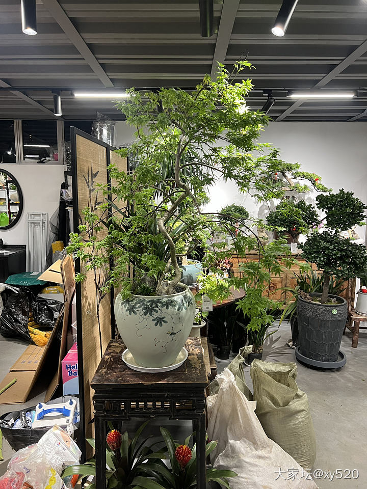 环境不同_生活植物