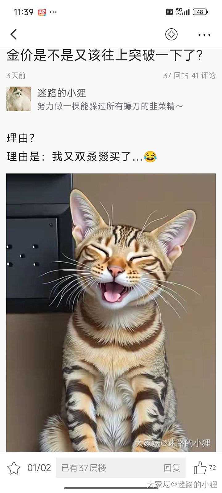 喵～_金