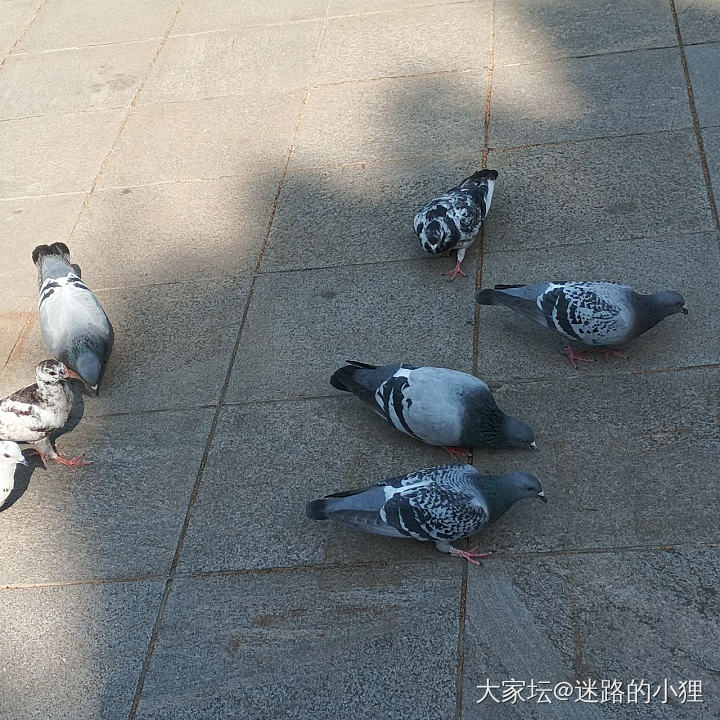 再讲个笑话～_育教亲子