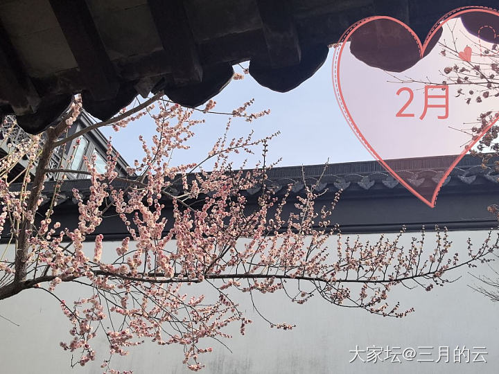 第一季度小结_花