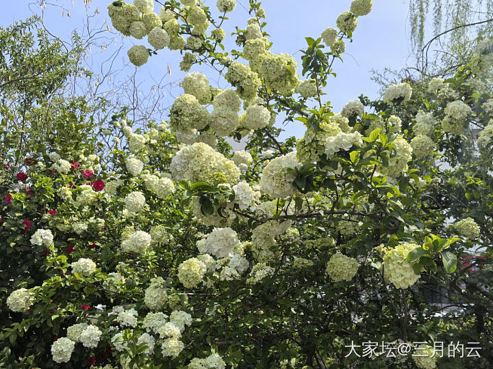 第一季度小结_花